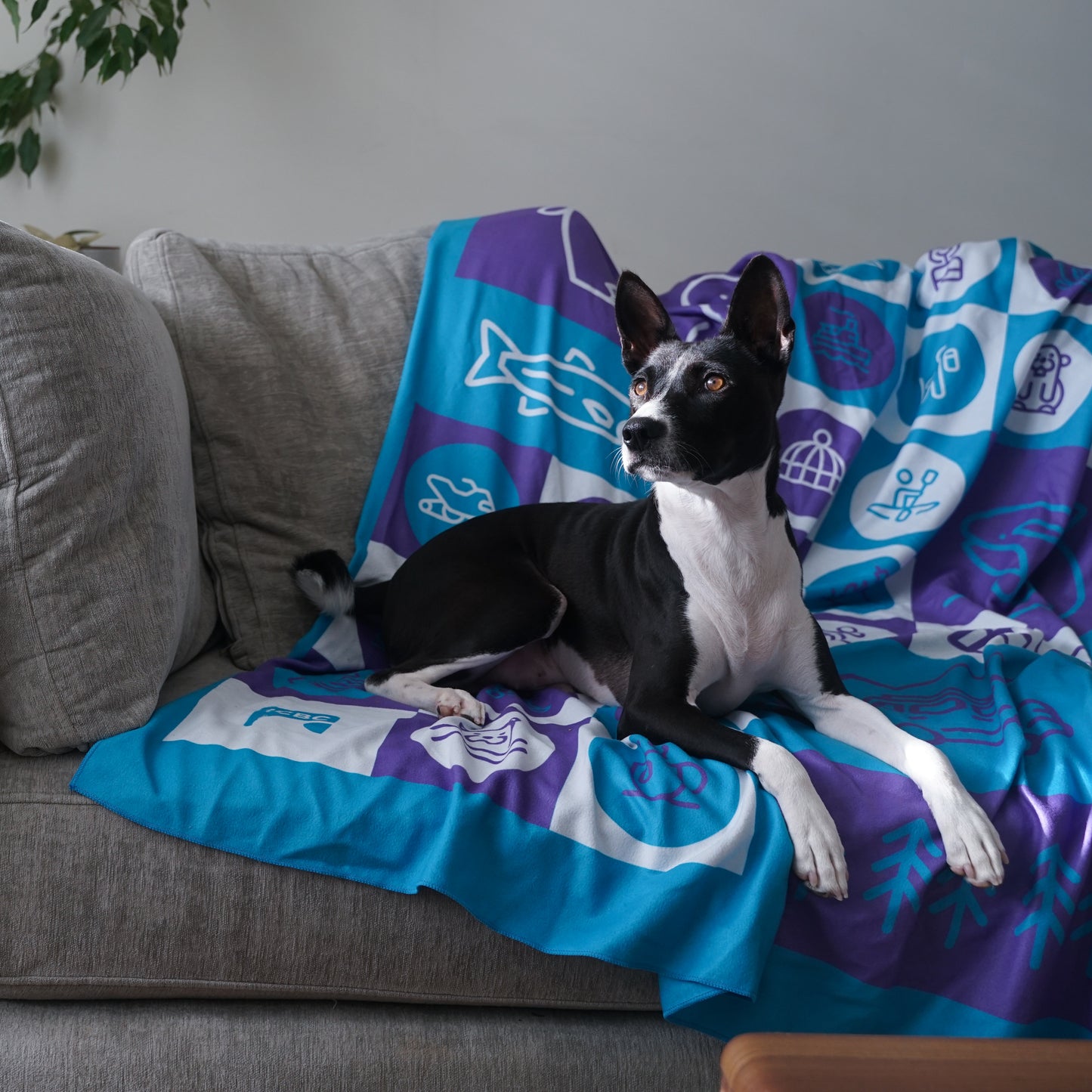 “Stitched together” blanket